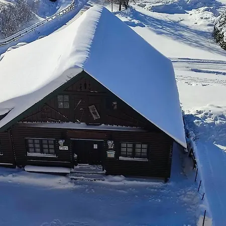 Family - Dachstein View Apartament