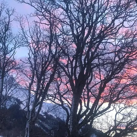 Appartamento Family - Dachstein View Ramsau am Dachstein