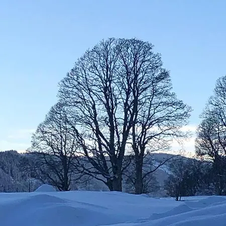Family - Dachstein View רמסאו אם דכשטיין