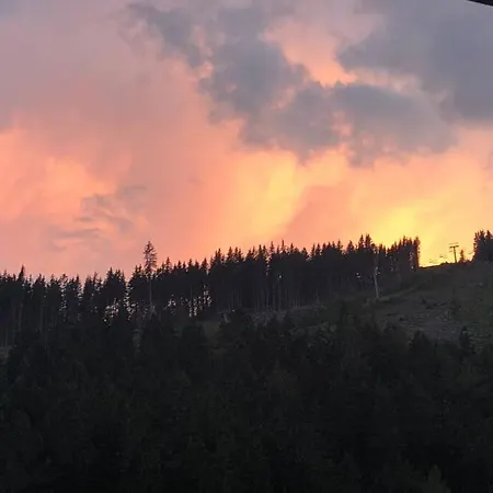 Family - Dachstein View Apartament *