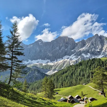 Family - Dachstein View *