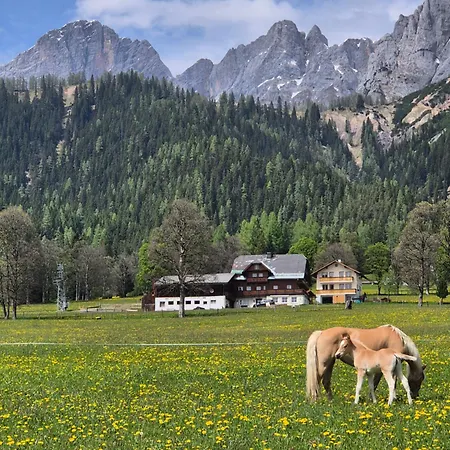 Family - Dachstein View * Рамзау