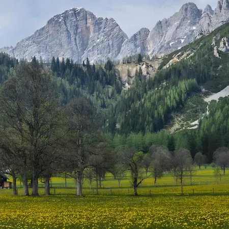 Family - Dachstein View Apartment Ramsau am Dachstein