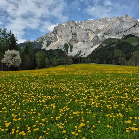 Family - Dachstein View Апартаменты