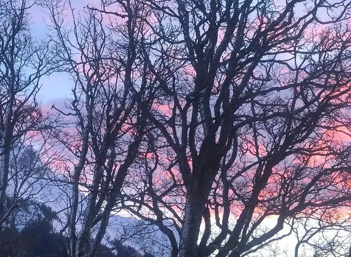 Διαμέρισμα Family - Dachstein View Ramsau am Dachstein