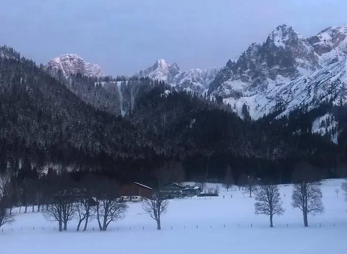 Appartamento Family - Dachstein View