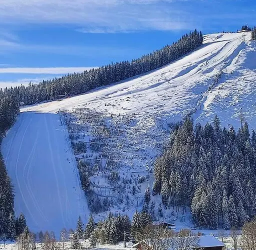 Family - Dachstein View *