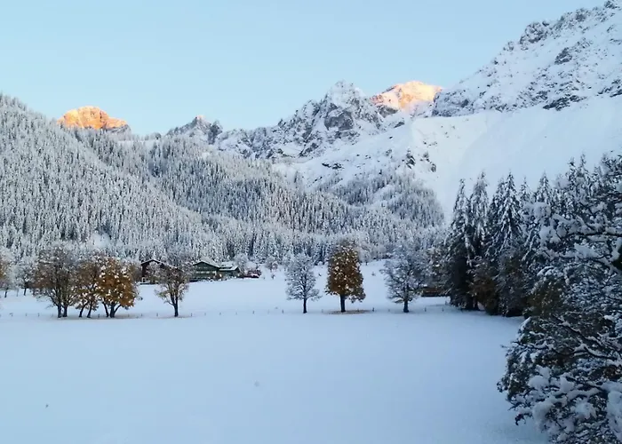 Διαμέρισμα Family - Dachstein View *