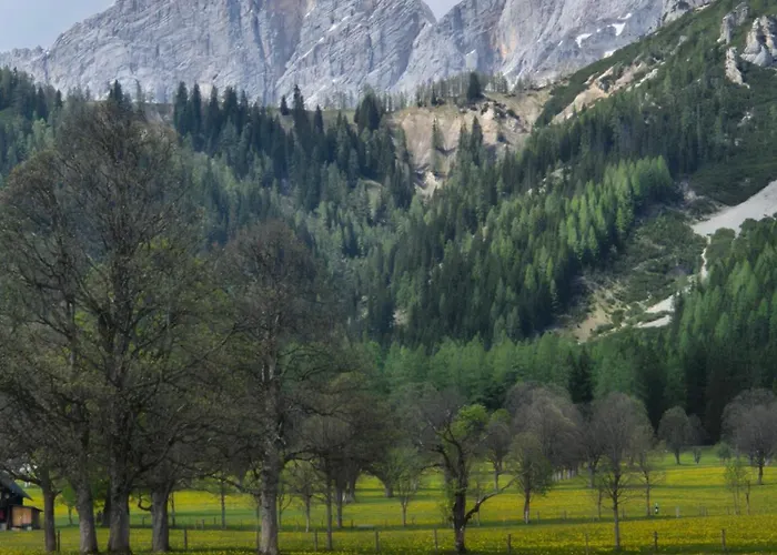 Family - Dachstein View Appartamento Ramsau am Dachstein